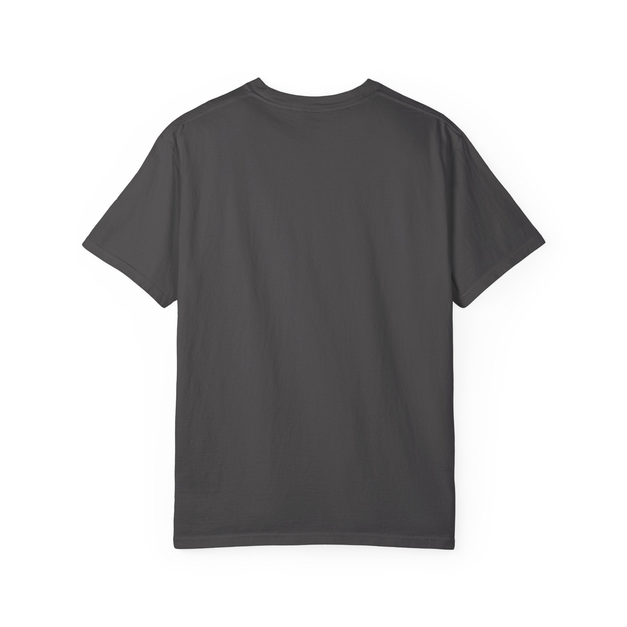 Flytanium - Fly or Die Graphic T-Shirt | Full Color